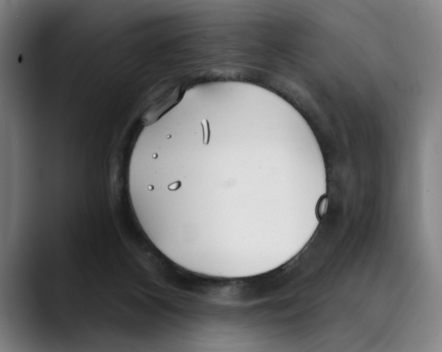 X0000089340116200707131519
