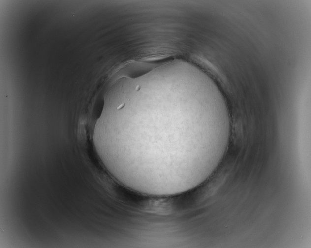 X0000089340117200707131519