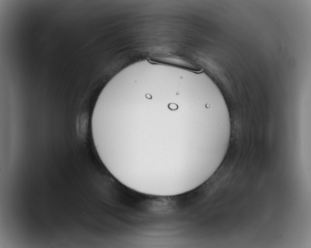 X0000089340118200707131519