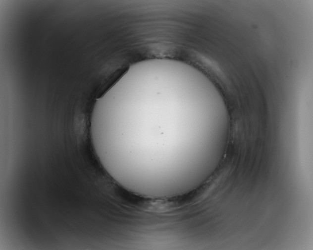 X0000089340121200707131519