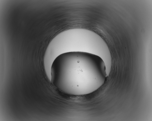 X0000089340125200707131519