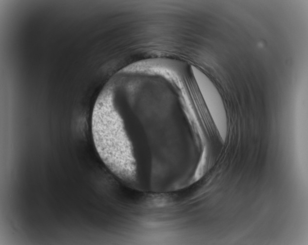 X0000089340127200707131519
