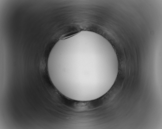 X0000089340129200707131519