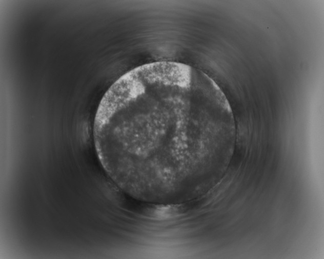 X0000089340130200707131519