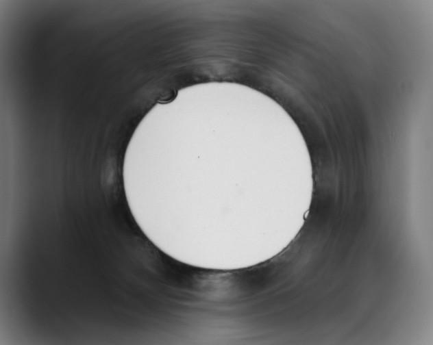 X0000089340132200707131519