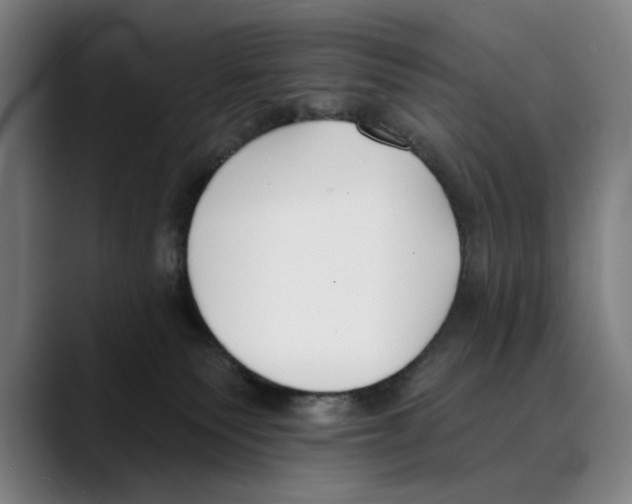 X0000089340135200707131519