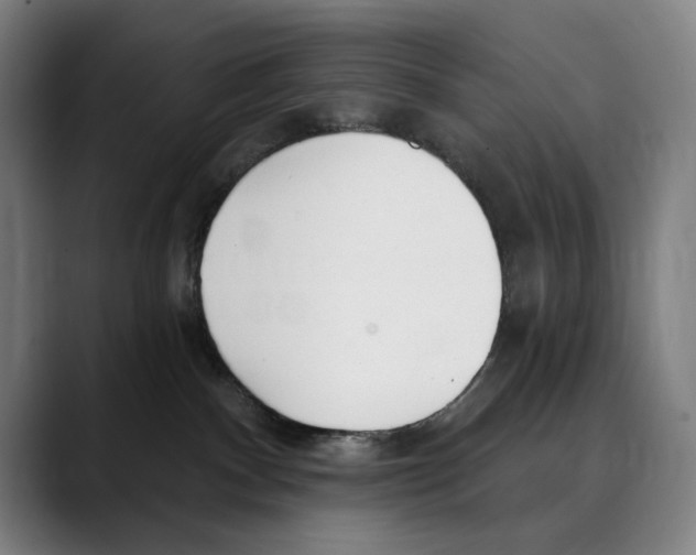 X0000089340140200707131519