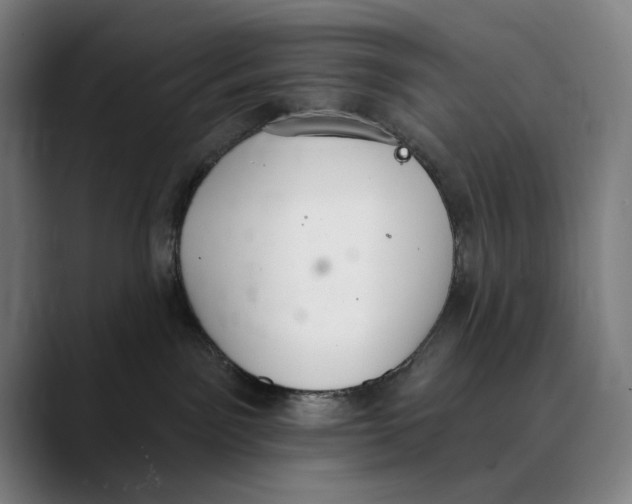 X0000089340141200707131519