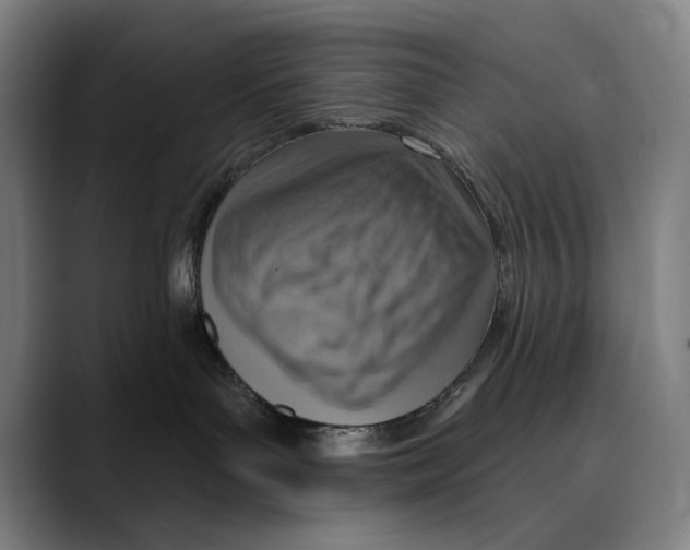 X0000089340143200707131519