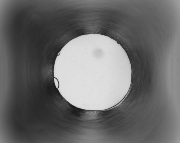X0000089340144200707131519