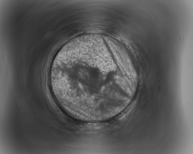X0000089340145200707131519