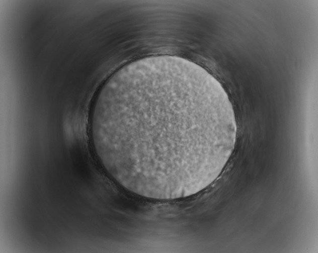 X0000089340146200707131519