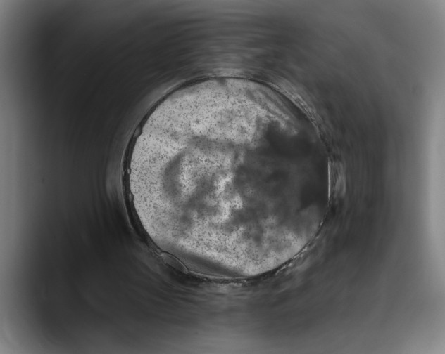 X0000089340147200707131519