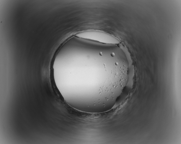 X0000089340148200707131519