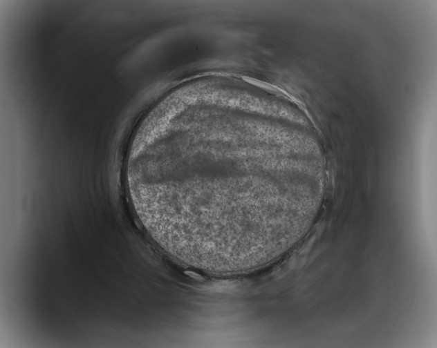X0000089340149200707131519