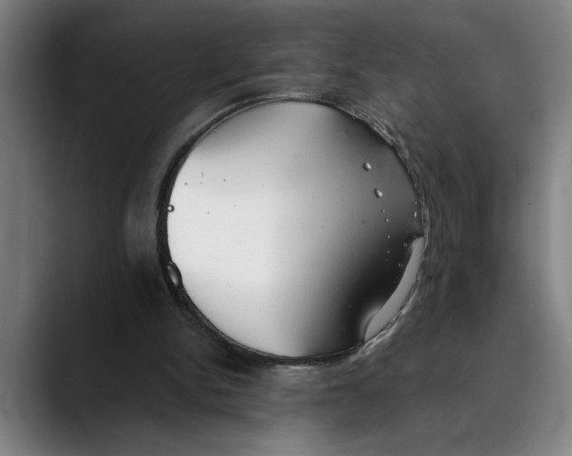 X0000089340150200707131519