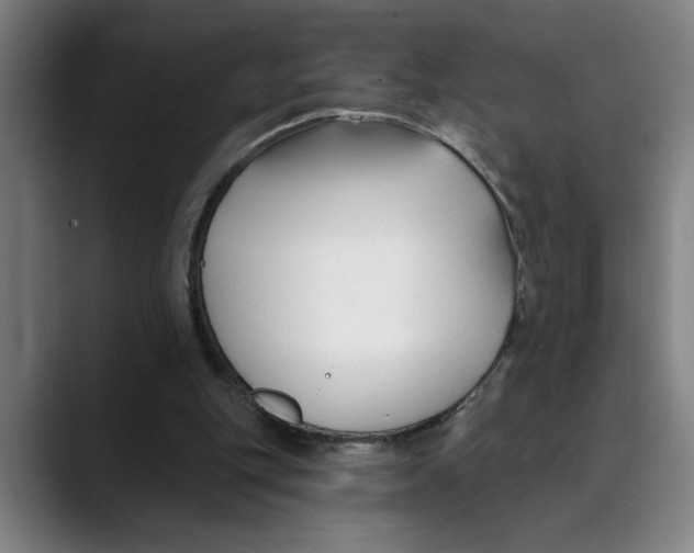 X0000089340151200707131519