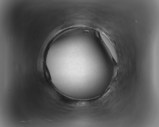 X0000089340152200707131519