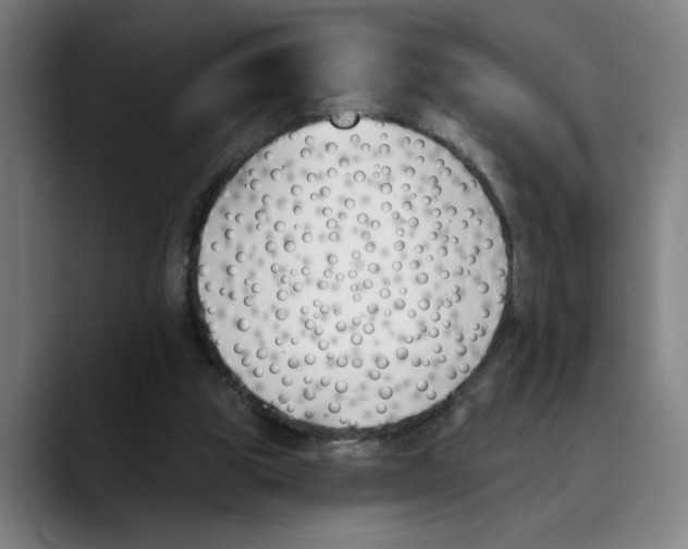 X0000089340153200707131519