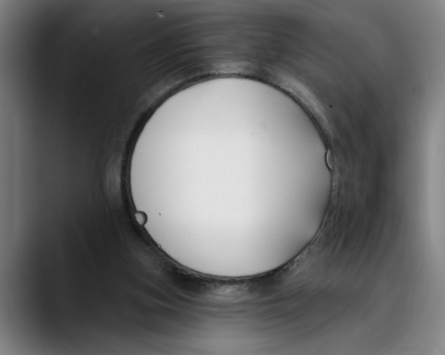 X0000089340155200707131519