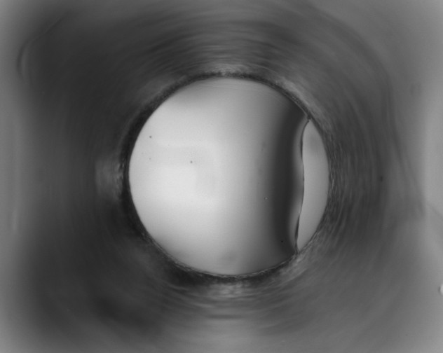 X0000089340160200707131519