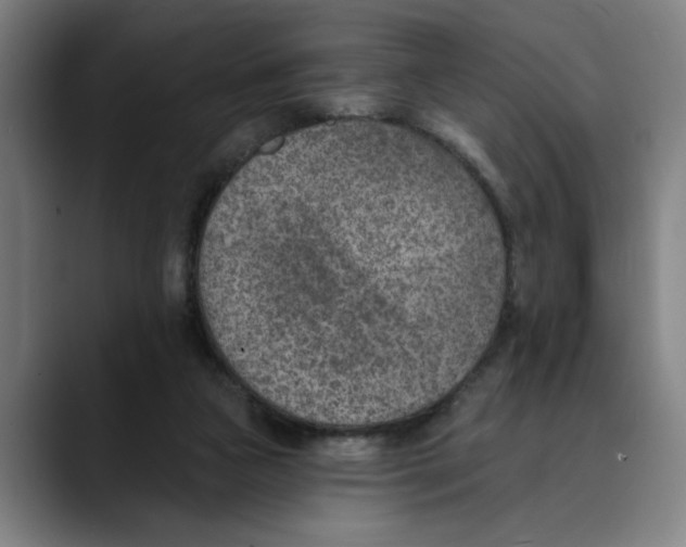 X0000089340161200707131519
