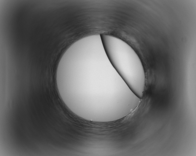 X0000089340162200707131519