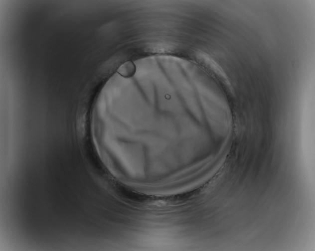 X0000089340163200707131519