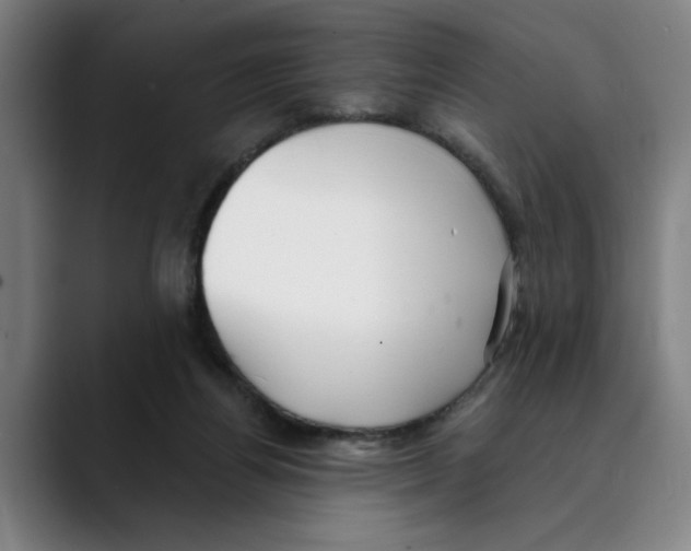X0000089340164200707131519