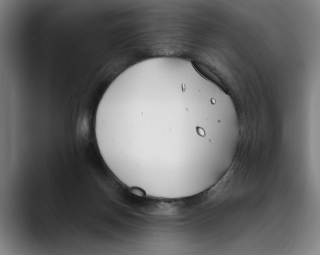 X0000089340166200707131519