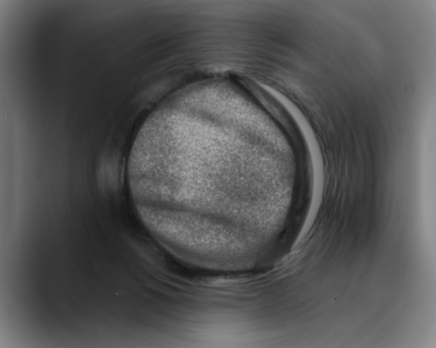 X0000089340168200707131519