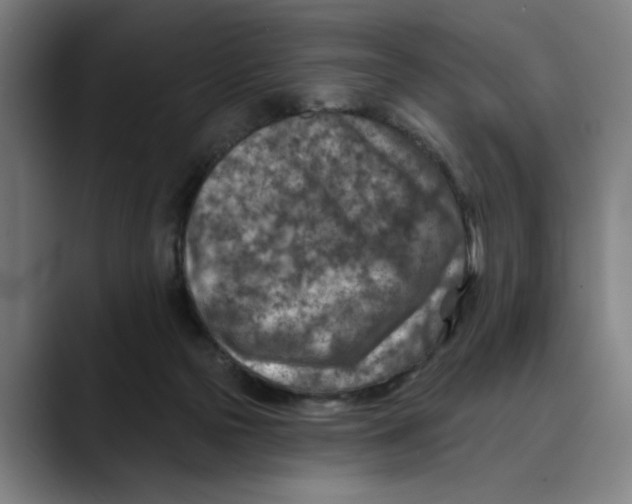 X0000089340169200707131519