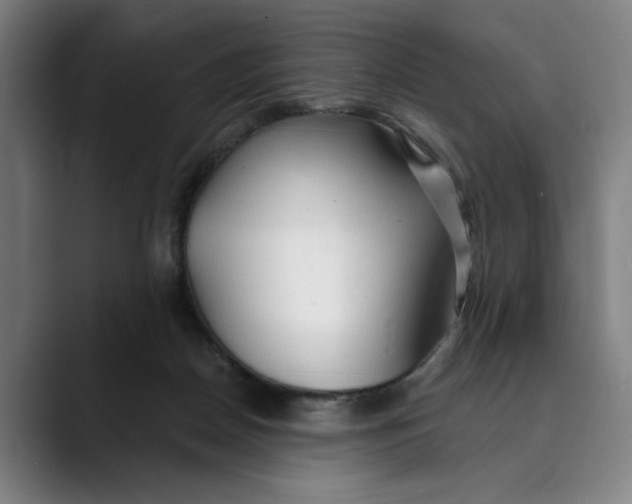 X0000089340170200707131519