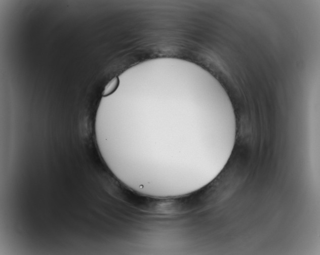 X0000089340173200707131519