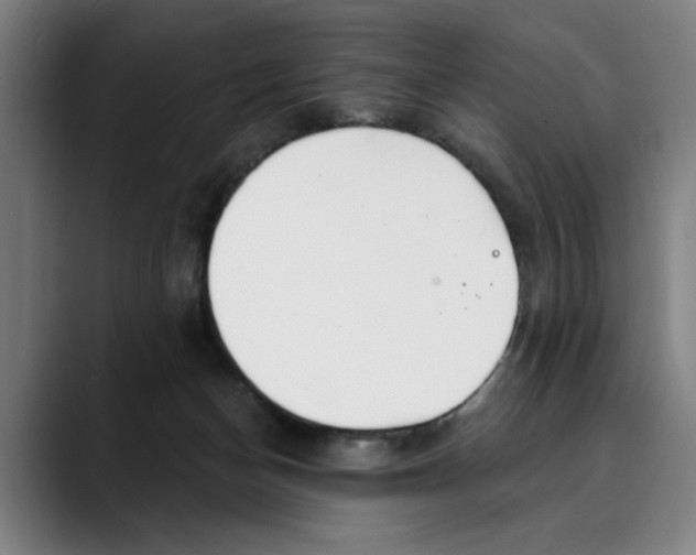 X0000089340174200707131519