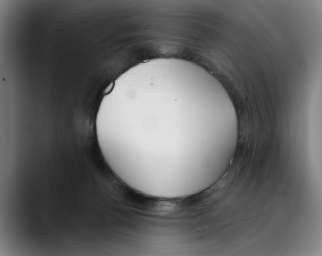 X0000089340176200707131519
