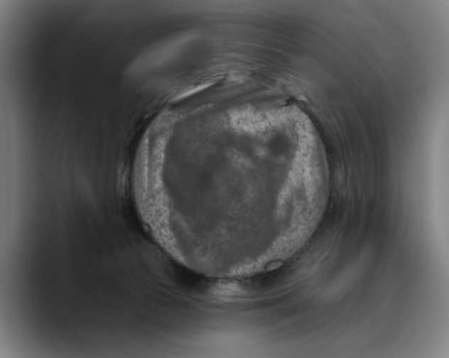 X0000089340177200707131519