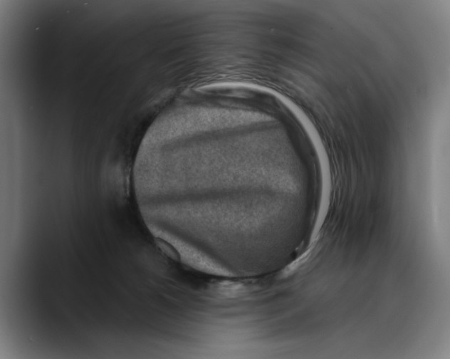 X0000089340180200707131519