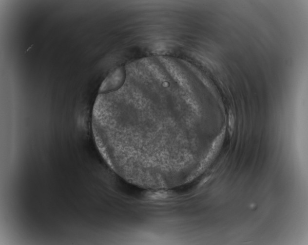 X0000089340181200707131519