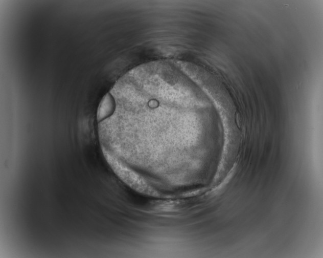 X0000089340182200707131519