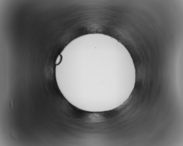 X0000089340183200707131519