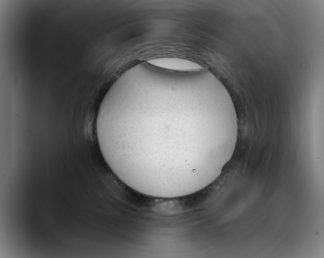 X0000089340185200707131519