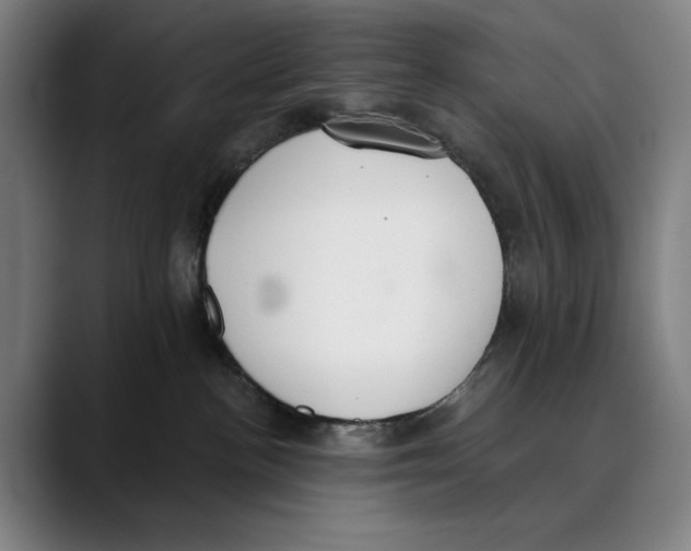 X0000089340188200707131519