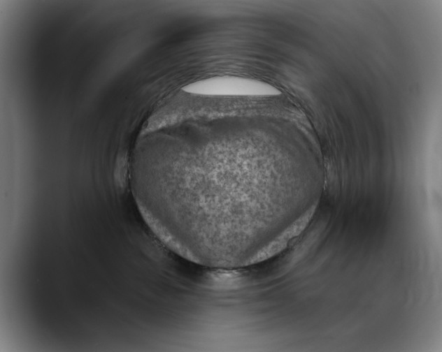 X0000089340189200707131519