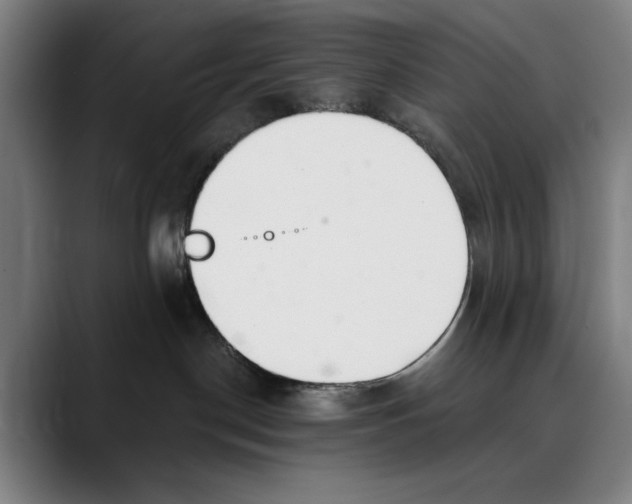 X0000089340190200707131519