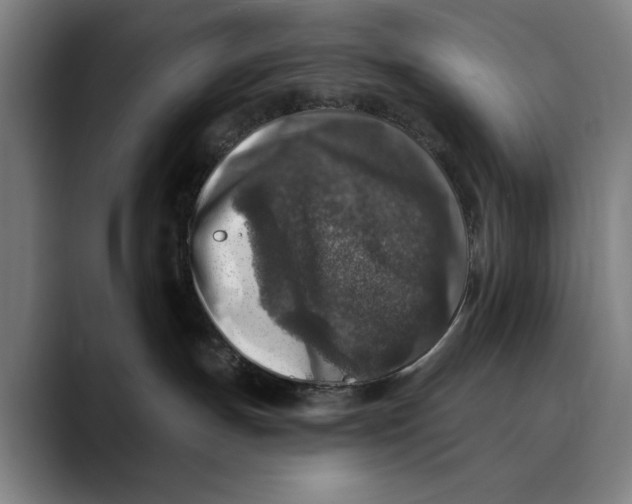 X0000089340191200707131519