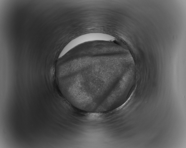 X0000089340192200707131519