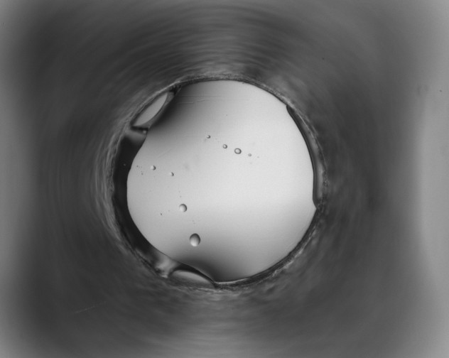 X0000089340193200707131519