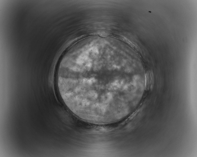 X0000089340195200707131519