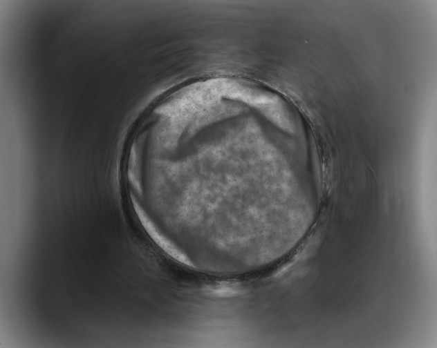X0000089340196200707131518